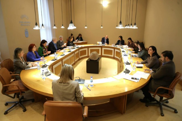  Convocatoria da sesión plenaria prevista para o 3 de decembro de 2024